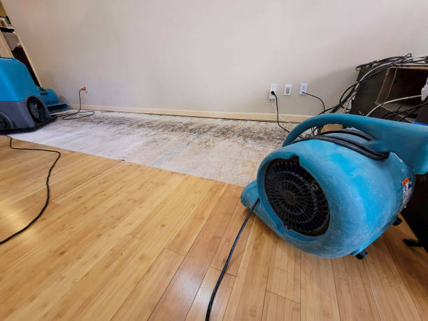 Professional Water Removal technician working in Mountain, WI
